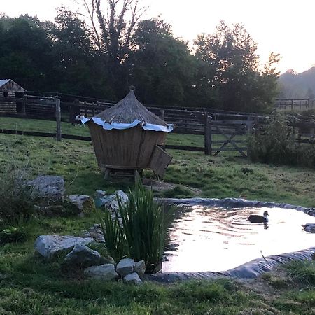 Bed and Breakfast Le Champ Des Possibles Manerbe Екстер'єр фото