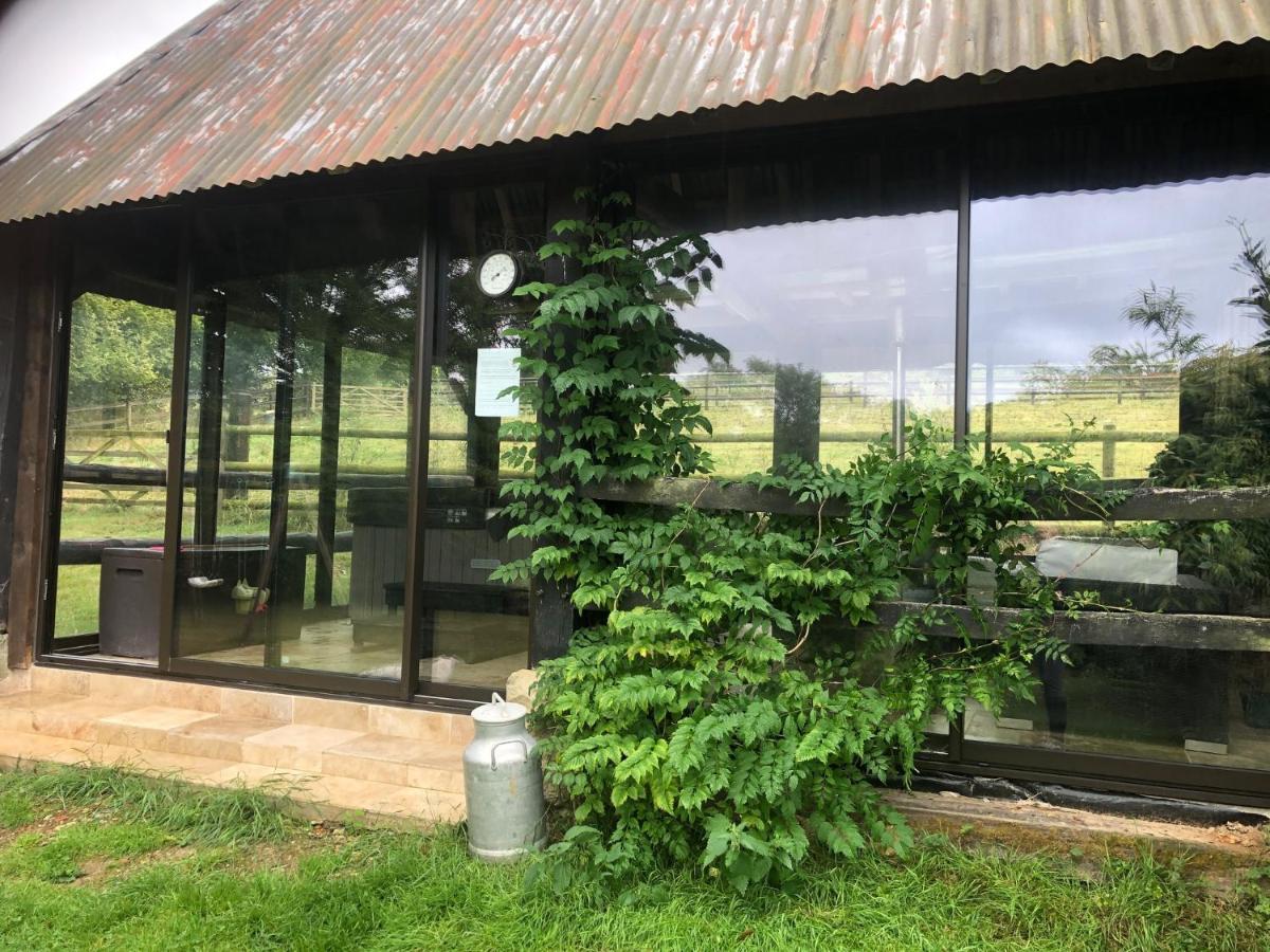 Bed and Breakfast Le Champ Des Possibles Manerbe Екстер'єр фото