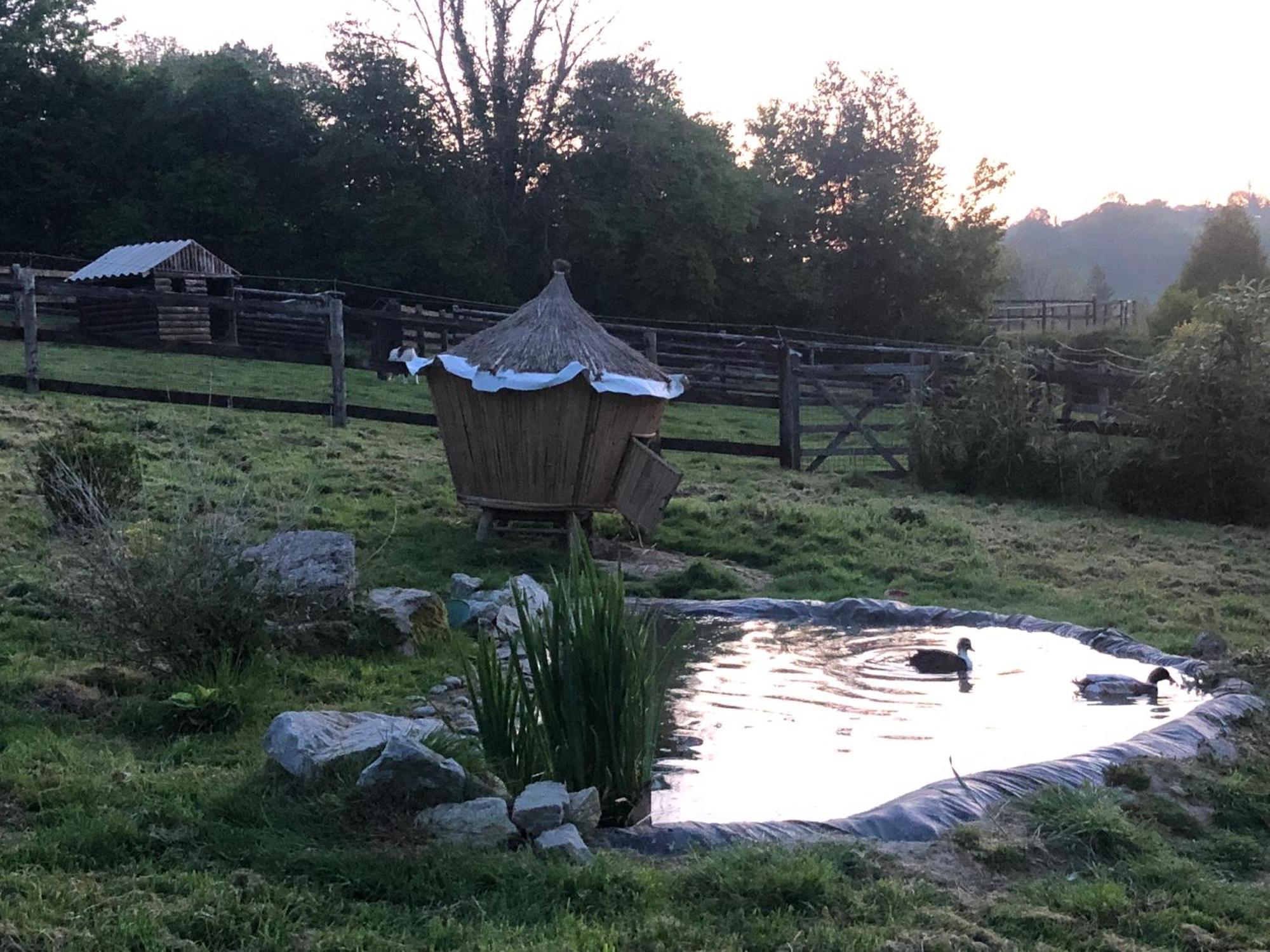 Bed and Breakfast Le Champ Des Possibles Manerbe Екстер'єр фото