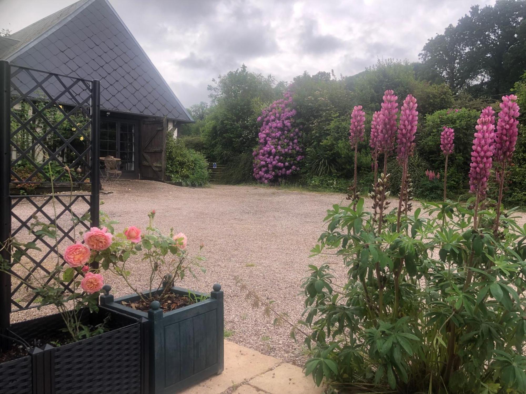 Bed and Breakfast Le Champ Des Possibles Manerbe Екстер'єр фото