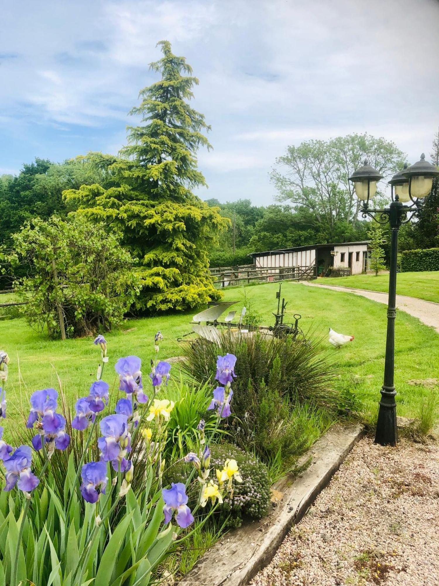 Bed and Breakfast Le Champ Des Possibles Manerbe Екстер'єр фото