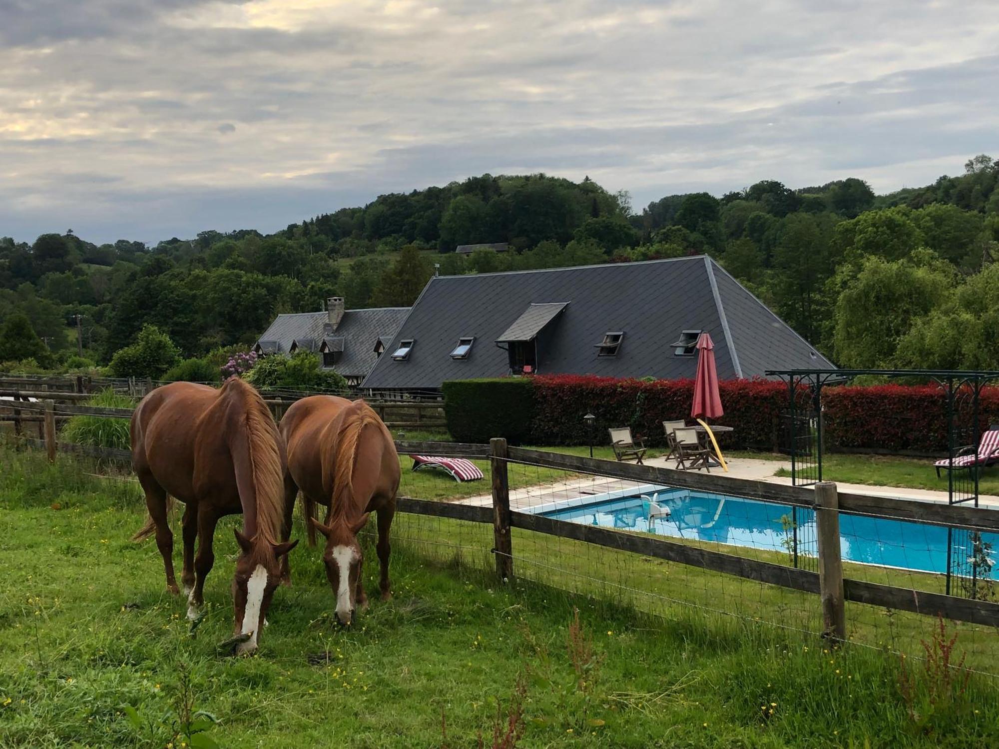 Bed and Breakfast Le Champ Des Possibles Manerbe Екстер'єр фото